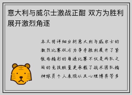 意大利与威尔士激战正酣 双方为胜利展开激烈角逐