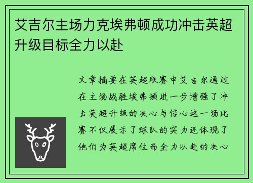 艾吉尔主场力克埃弗顿成功冲击英超升级目标全力以赴