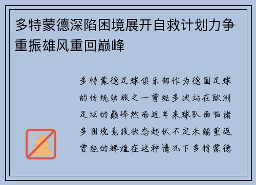 多特蒙德深陷困境展开自救计划力争重振雄风重回巅峰