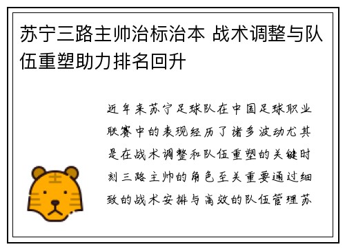 苏宁三路主帅治标治本 战术调整与队伍重塑助力排名回升